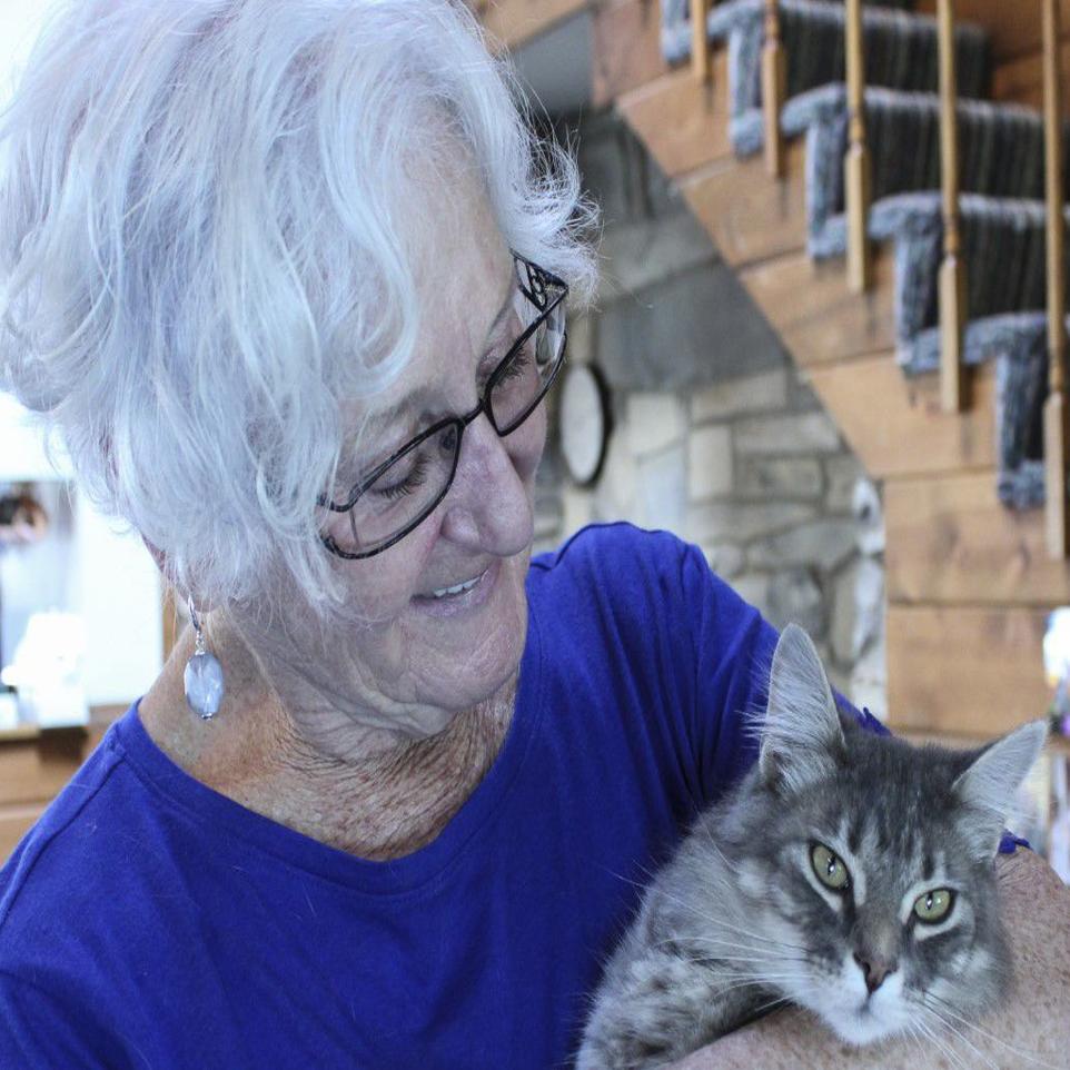 After Nearly A Week In A Tree Cat Rescued By Heroes News Bozemandailychronicle Com