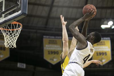 Msu Men Suffer First Conference Loss To Northern Colorado Bobcats Men S Basketball Bozemandailychronicle Com