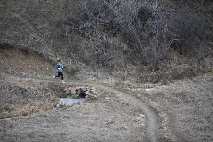 Bozeman trail system expands near Painted Hills network News