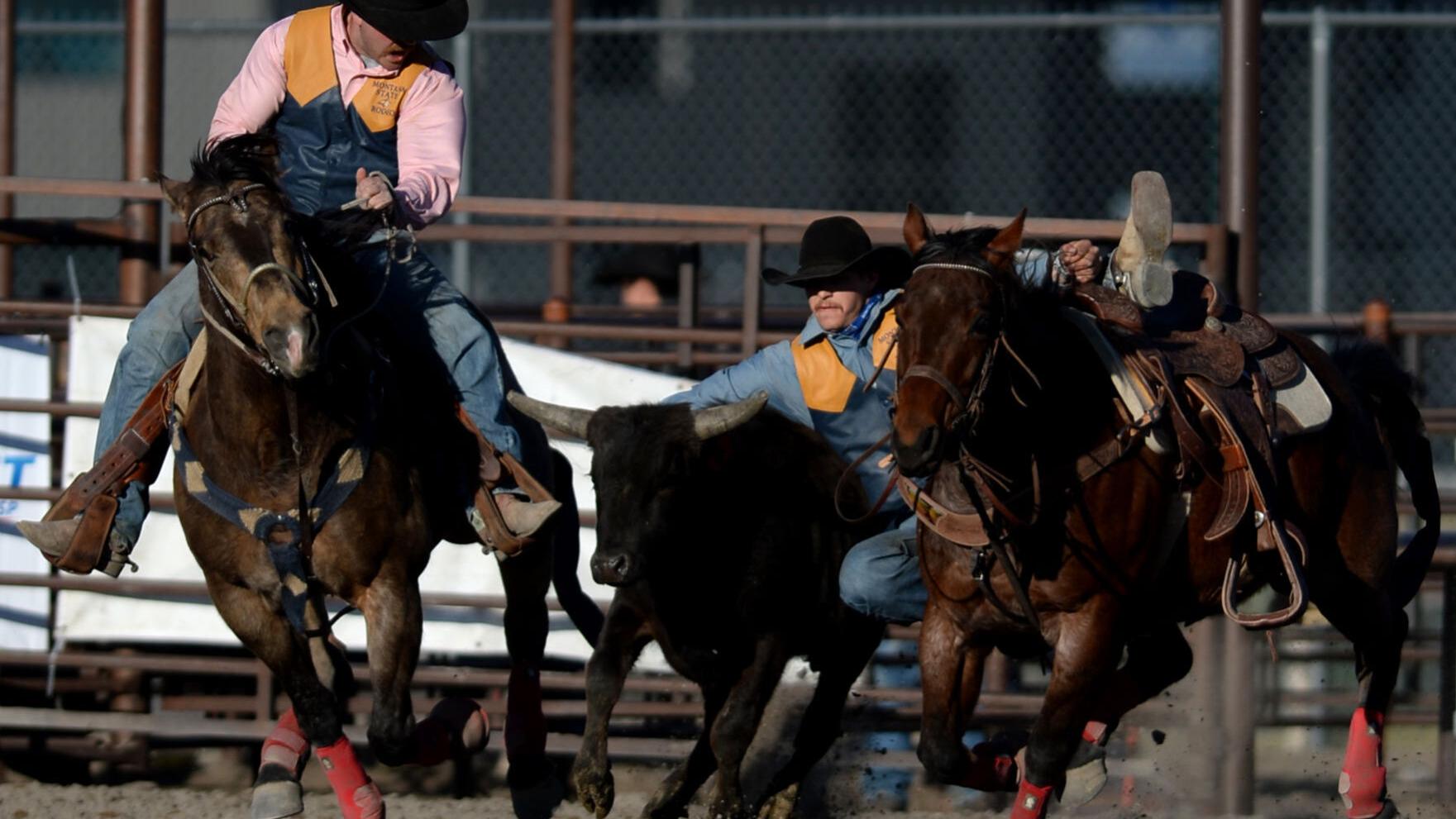 Montana State's Rasmussen, Whitman bring all-around credentials to ...