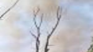 tobacco roots fire RX South Piles - Wildfire and Smoke Map Bivens Creek Fire Update -