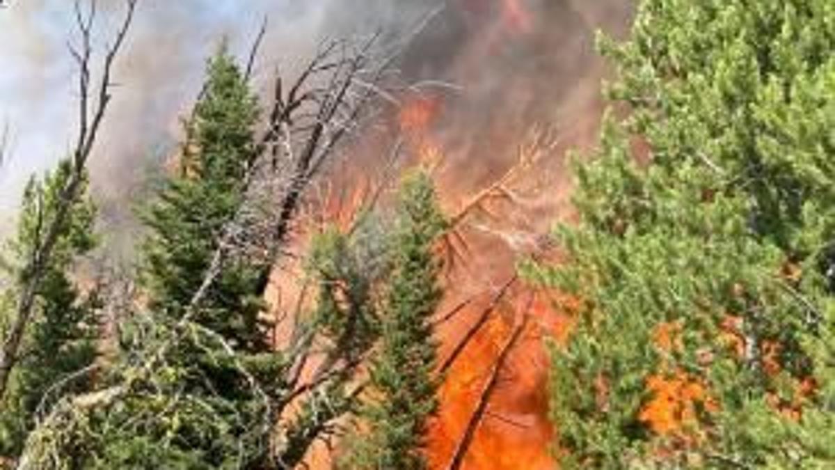 tobacco roots fire RX South Piles - Wildfire and Smoke Map Bivens Creek Fire Update -
