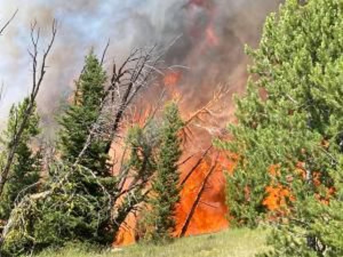 tobacco roots fire Lightning sparks small fires in Yellowstone; Old Baldy fire forces road  closures in Tobacco Roots | Environment