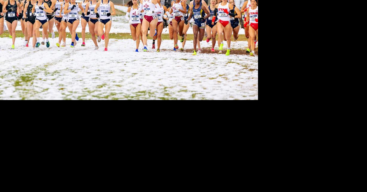 Montana State men place 7th, women 10th at cross country Mountain ...