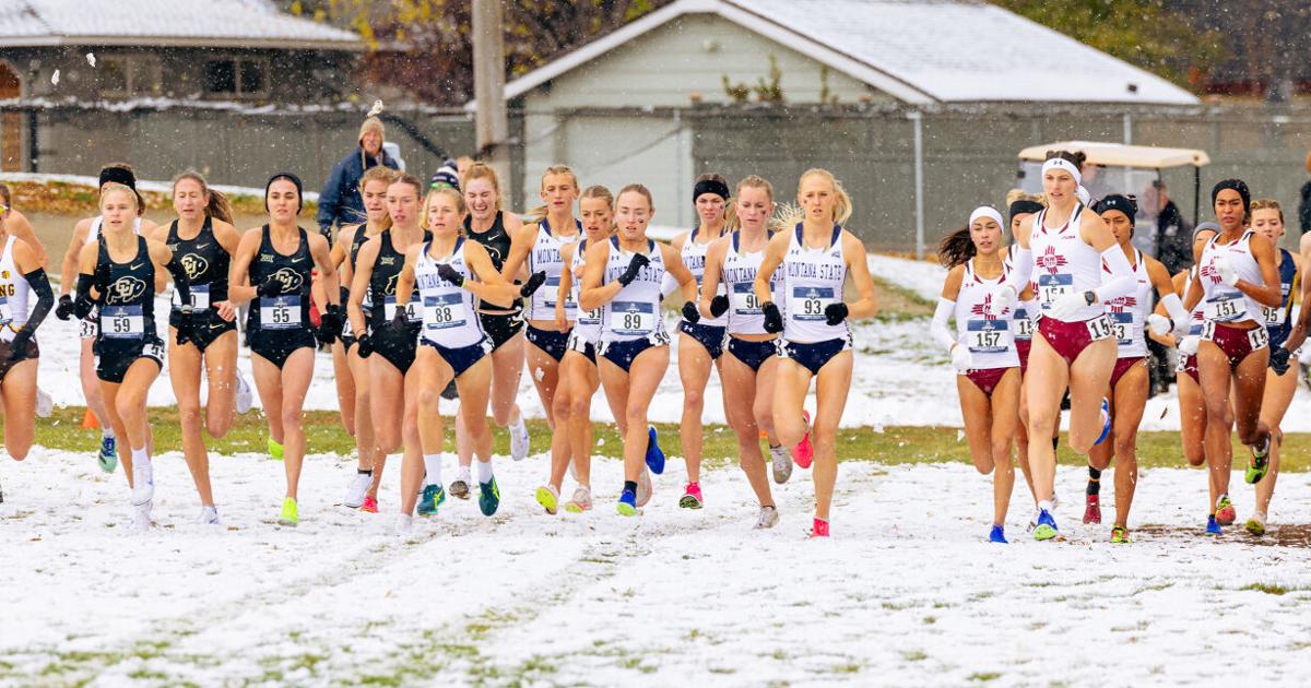Montana State men place 7th, women 10th at cross country Mountain ...