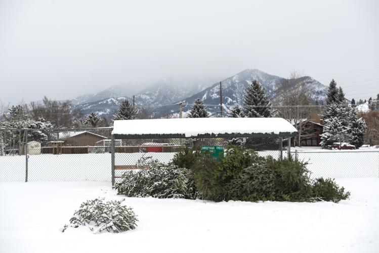 Christmas tree dropoff sites are open around Bozeman News