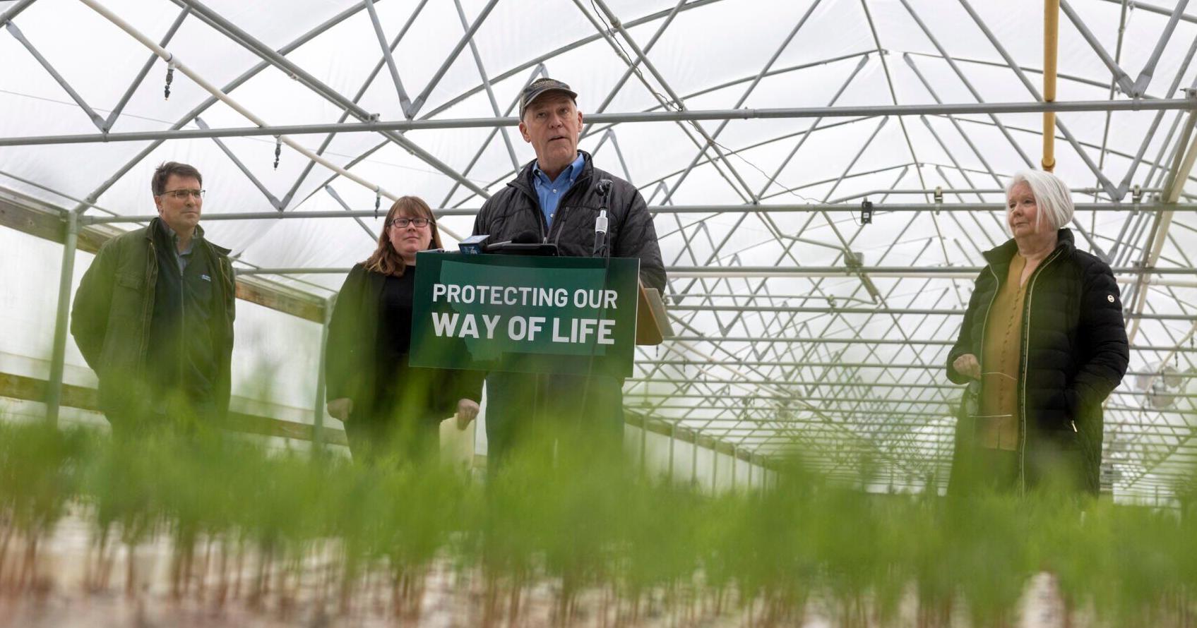 State forestry programs reach 36k acres in 2023 - Vimarsana News