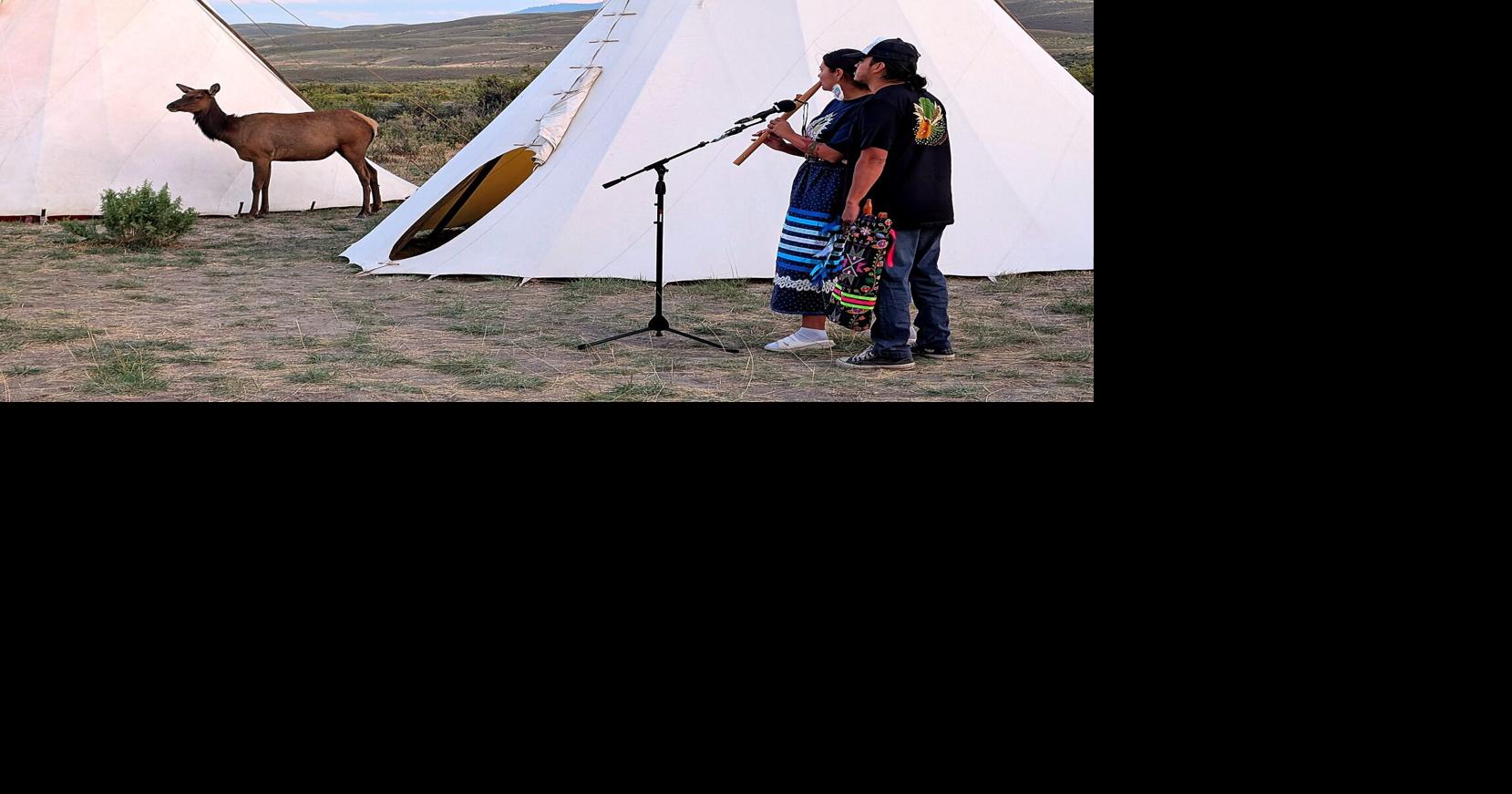 ‘A lot of magic’: Flute music draws four elk to Yellowstone First Peoples Celebration