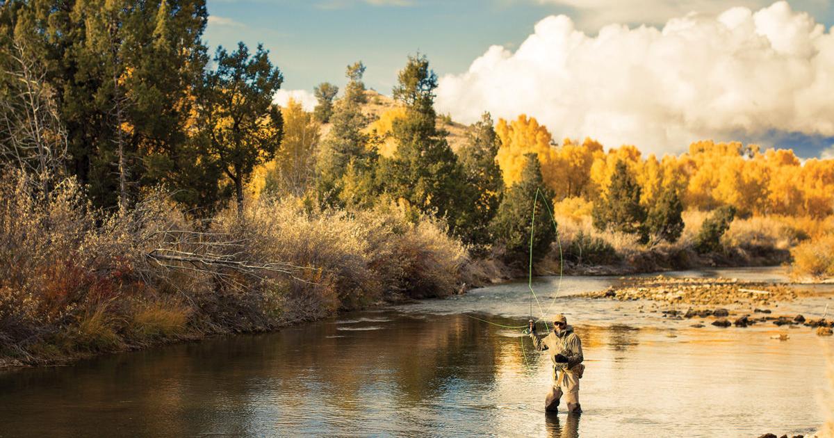 Heat prompts more fishing restrictions on southwest Montana rivers - Vimarsana News