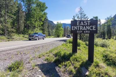 Gunshots Fired Near Yellowstone S East Entrance Road Yellowstone