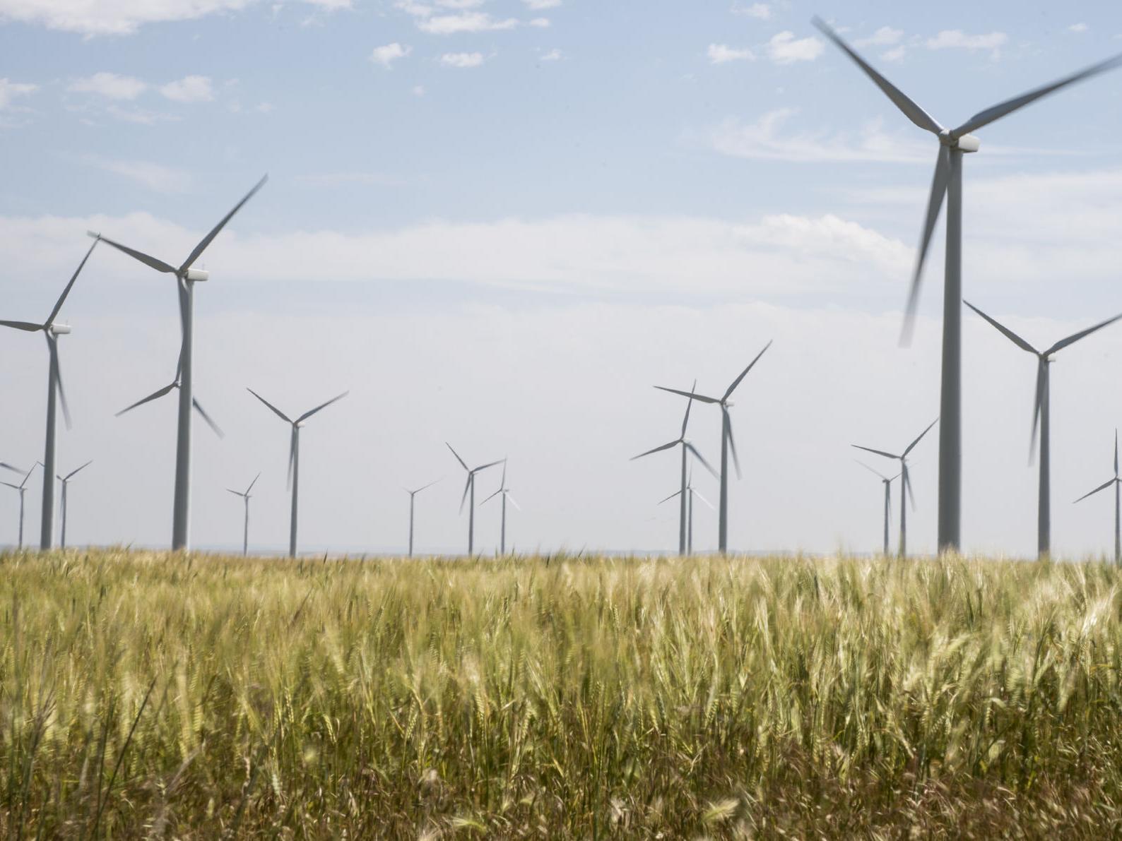 'Leadership is coming from the cities:' Bozeman among local governments leading push for clean energy in Montana - Vimarsana News