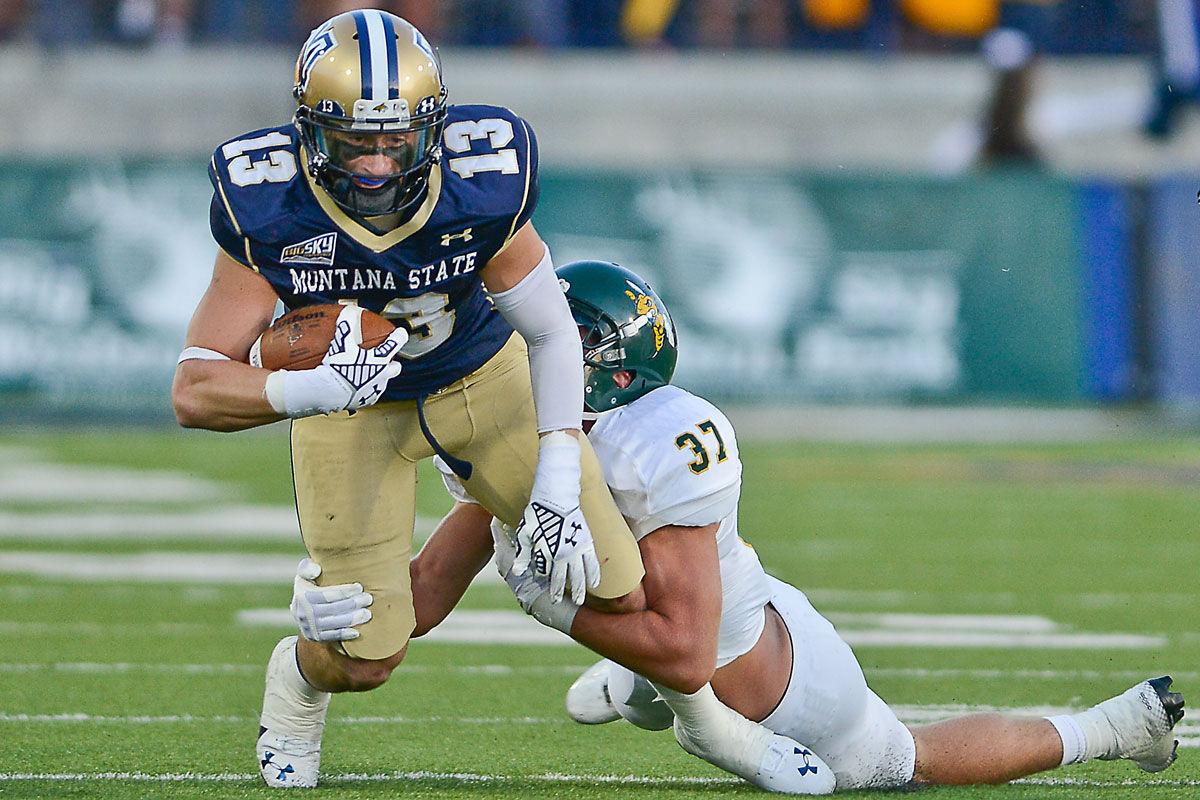 Football Montana State Vs Black Hills State Sports