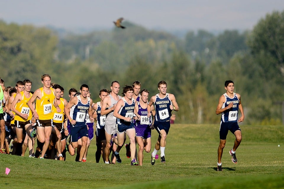 Montana State to run at more than 7,000 feet at Big Sky Championships