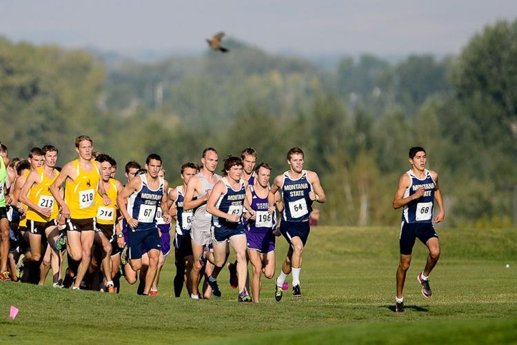 Montana State to run at more than 7,000 feet at Big Sky Championships