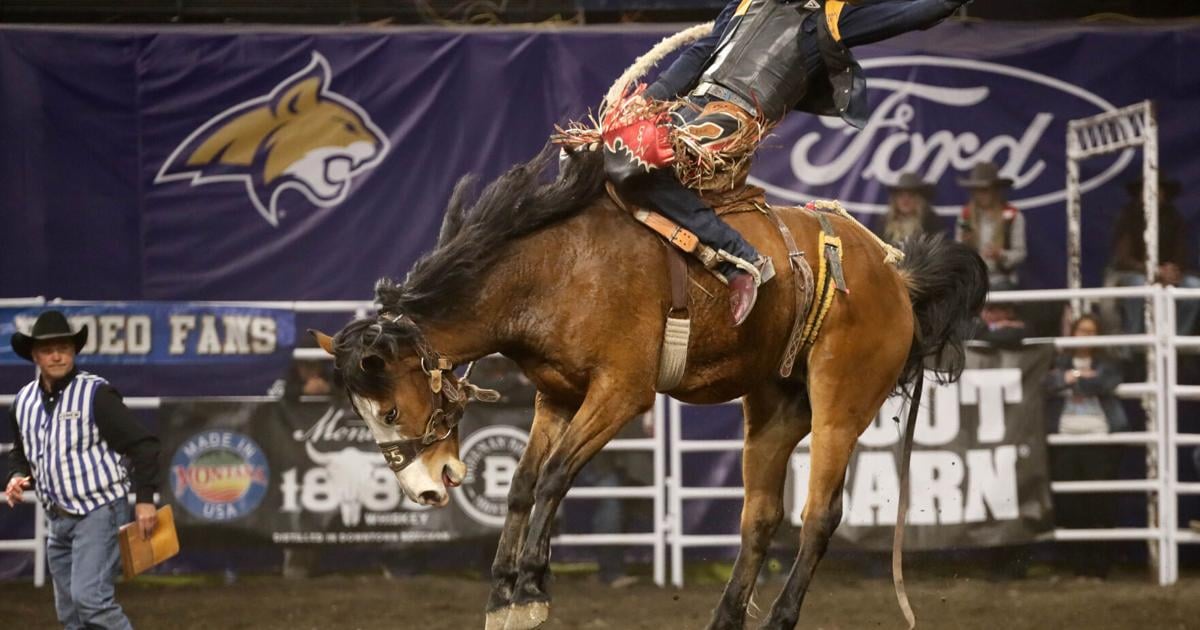 Montana State wins UM rodeo, qualifies 12 for College National Finals ...