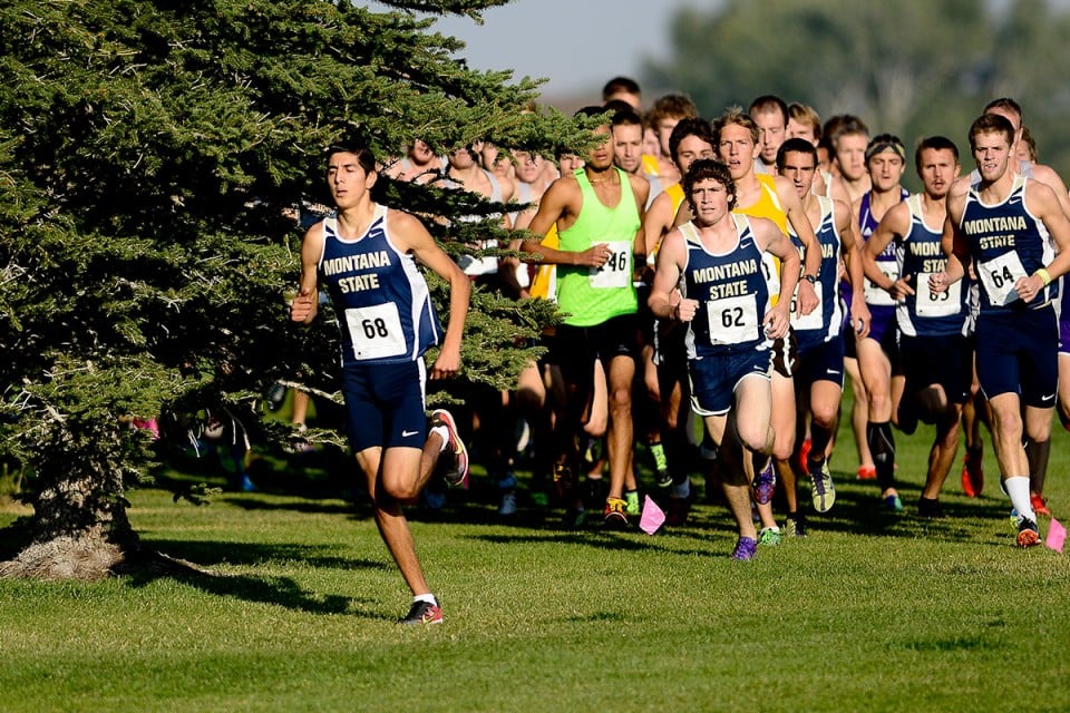 Montana State heads to Bluegrass State for PreNational meet Bobcats