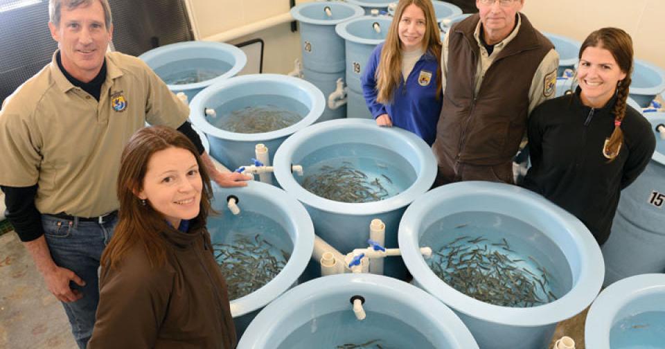 USFWS team honored with prestigious award | Wildlife ...