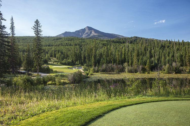 Aaron Rodgers, Bryson DeChambeau win The Match in scenic Big Sky, Local  Sports