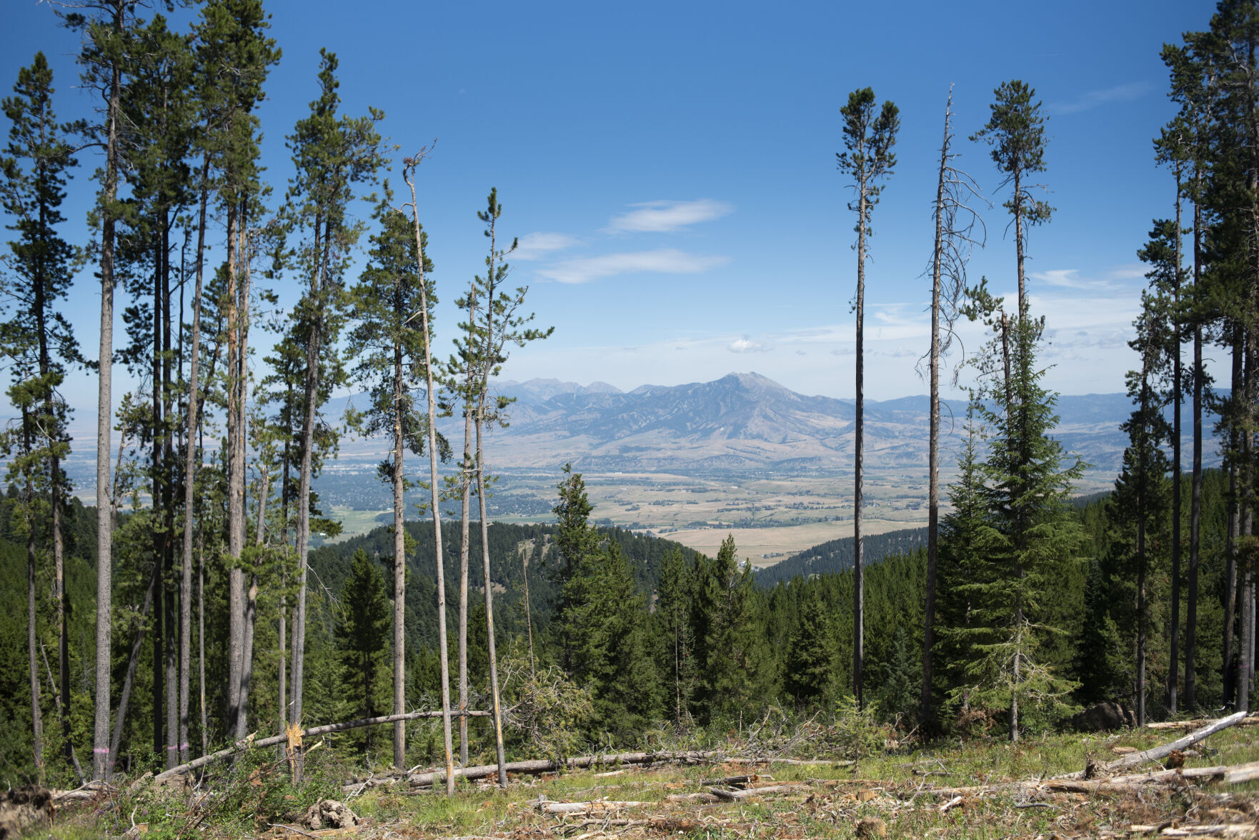 Bozeman Municipal Watershed work to bring closures, delays Environment bozemandailychronicle