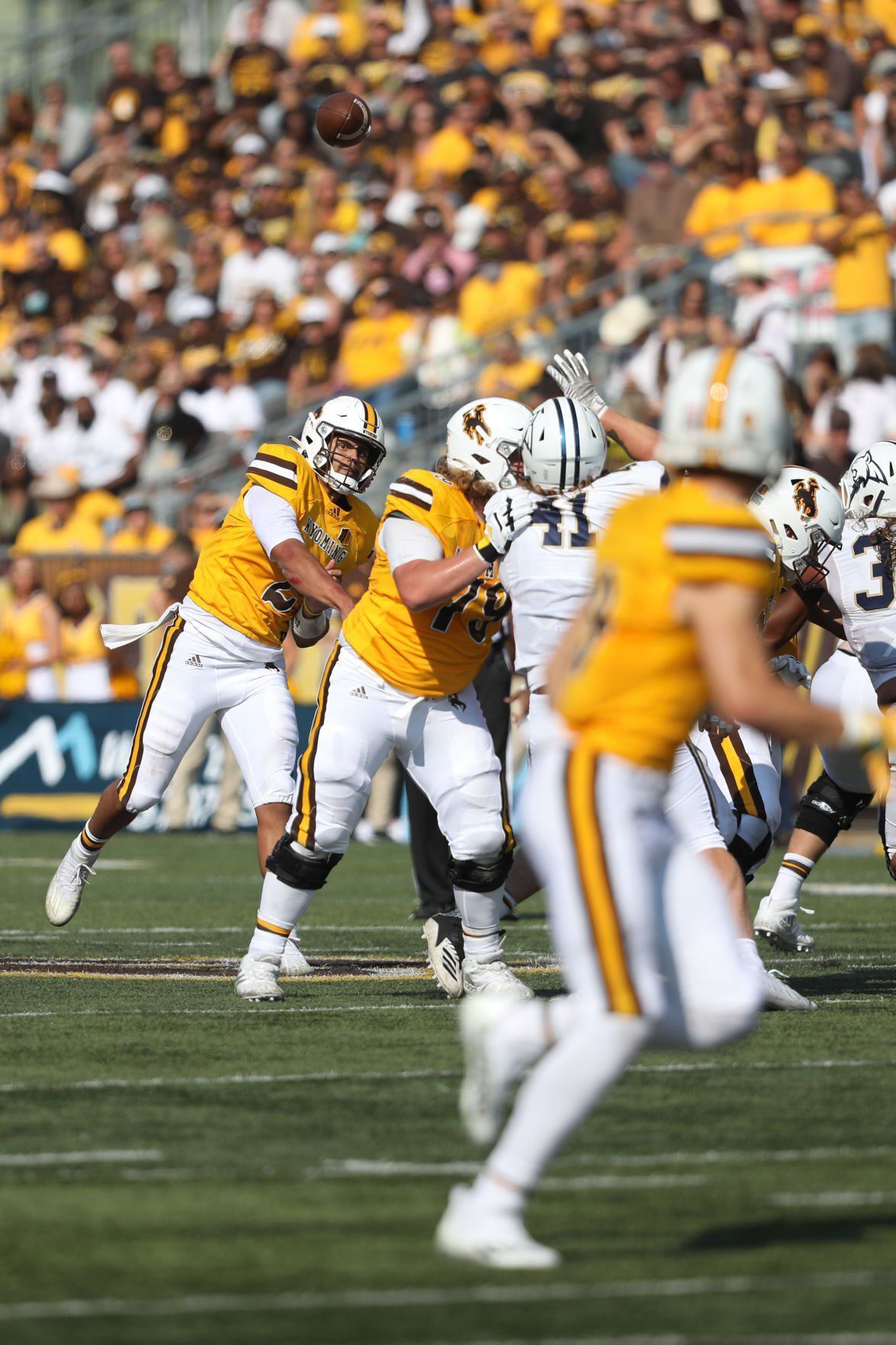 montana state at wyoming football