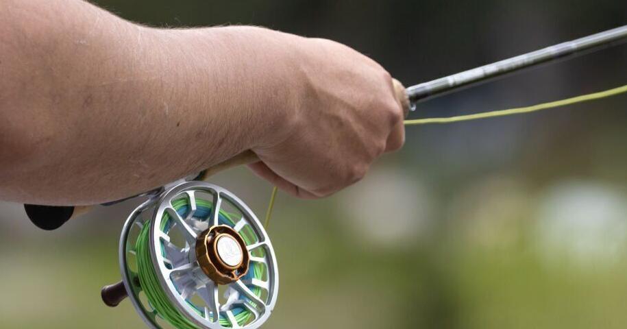 Group pursues remedies for trout decline in Montana | Environment - Vimarsana News