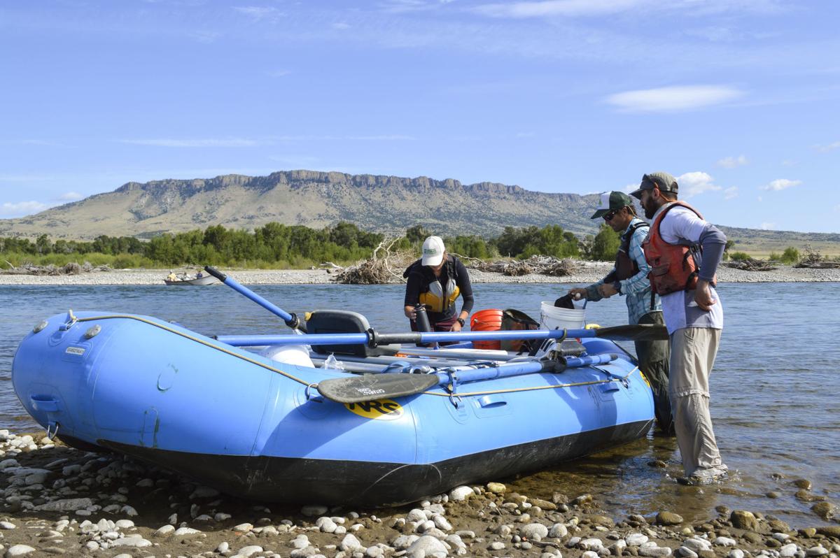 Bass Creep Could Smallmouth Threaten The Yellowstone River S Iconic Trout Environment Bozemandailychronicle Com