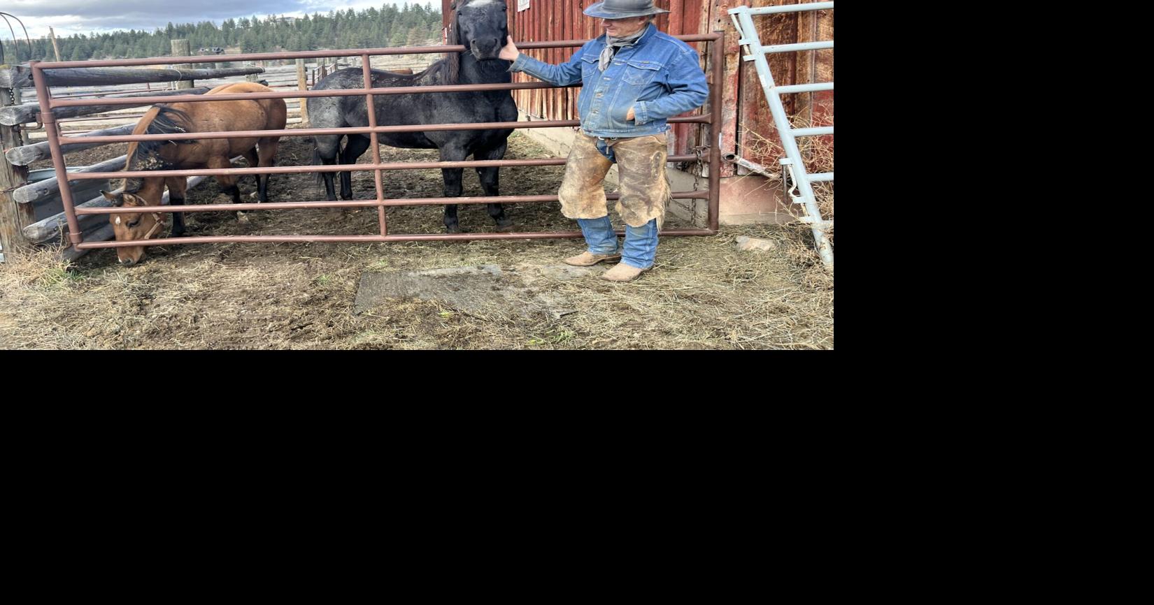 Political strife in Ravalli County quieting, but questions for state GOP remain