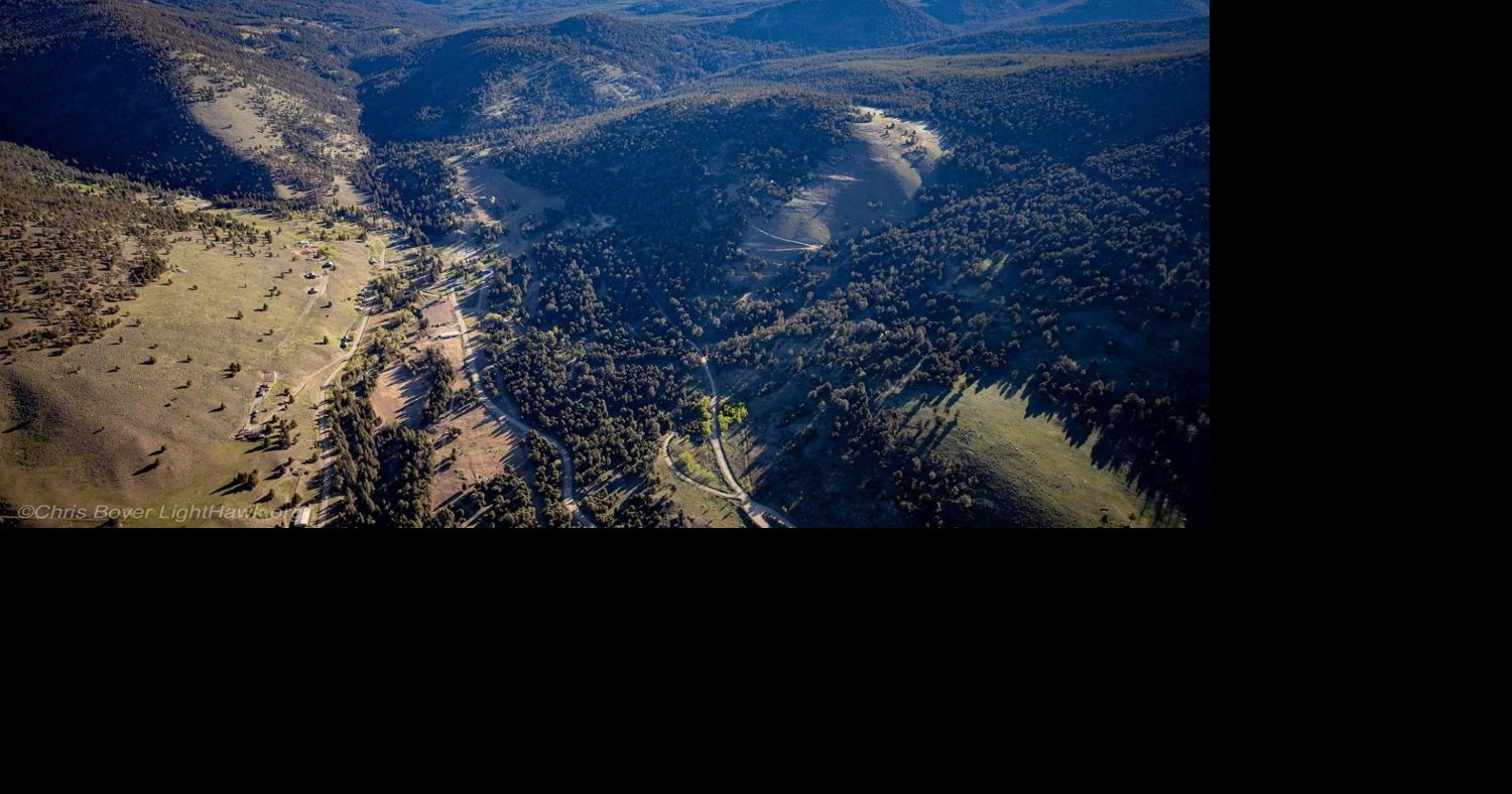 Bear Palmer Forest Health Project comment period extended