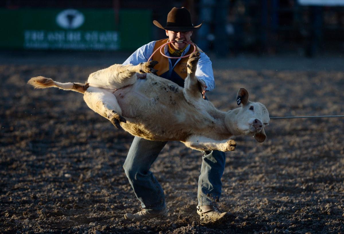 Montana State S Berquist Delamarter Lead Nation In Tie Down Roping Ahead Of College Finals Bobcats Bozemandailychronicle Com