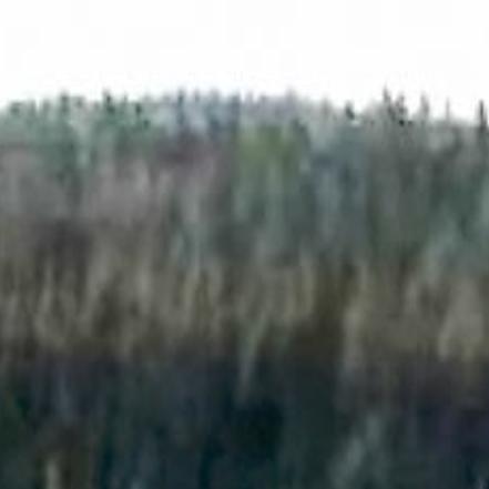 Video Captures 30 Visitors Walking To Edge Of Old Faithful For Photo Op Regional News Bozemandailychronicle Com