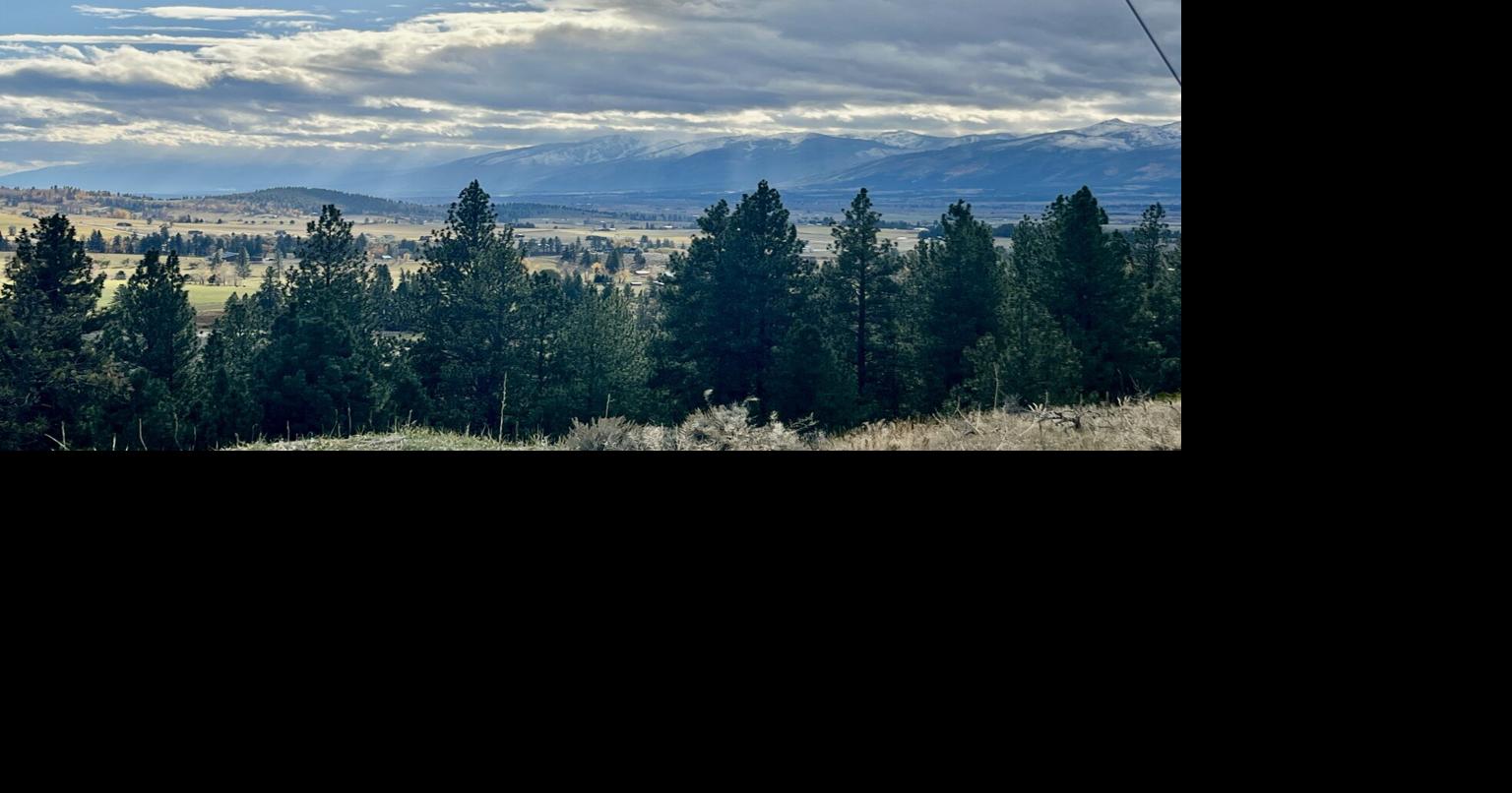 Federal judge restores road density limits in Bitterroot National Forest