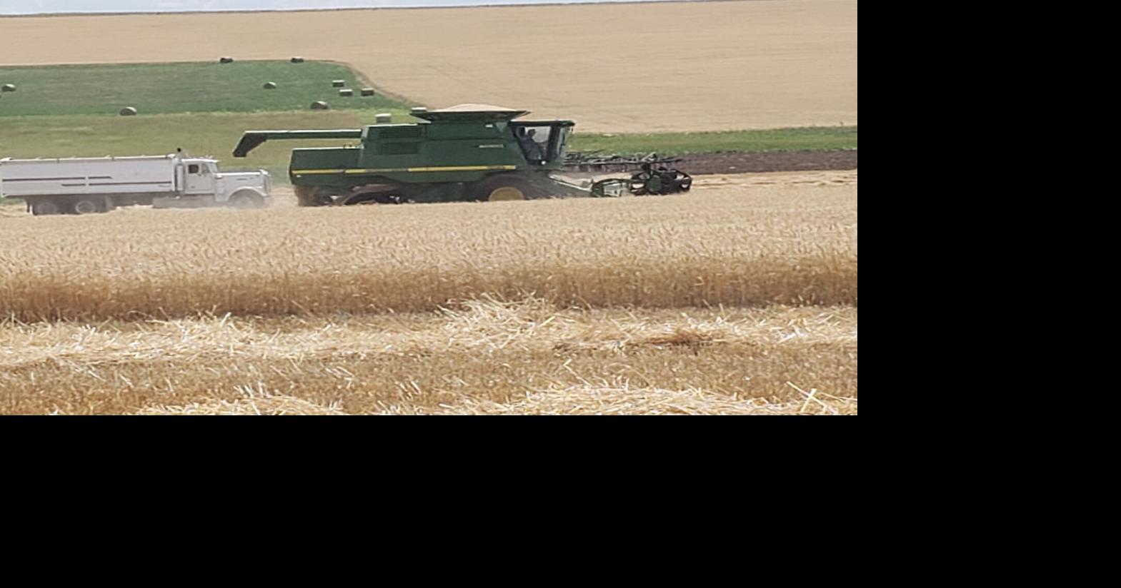 'Price squeeze': Iran war adds to Montana ag challenges with high fuel, fertilizer costs