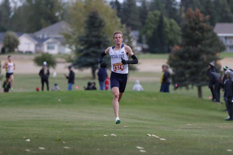 Montana State cross country earns four allconference runners at Big