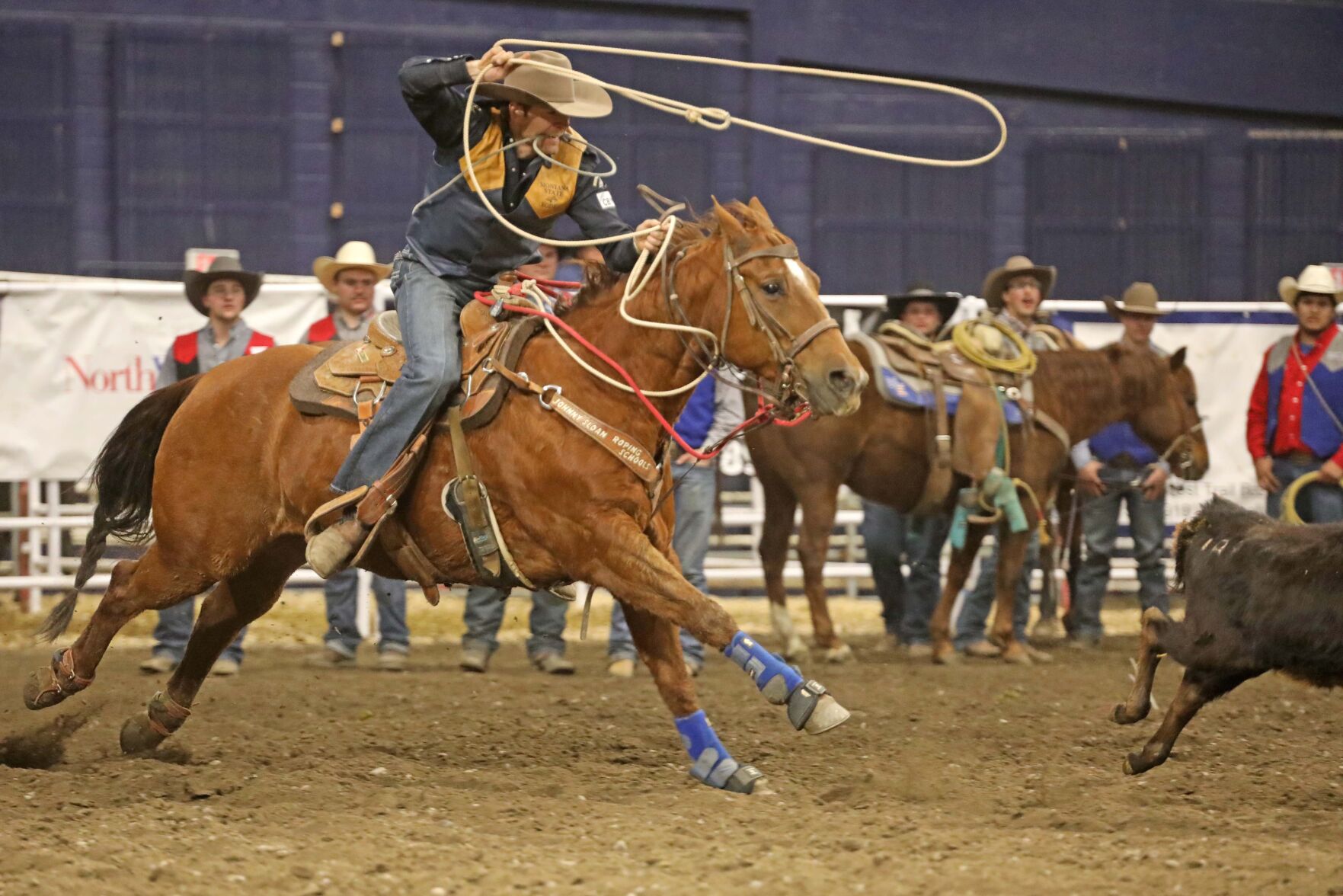 Montana State Women Sweep Events To Win First Home Rodeo Bobcats   643a37d89f04c.image 