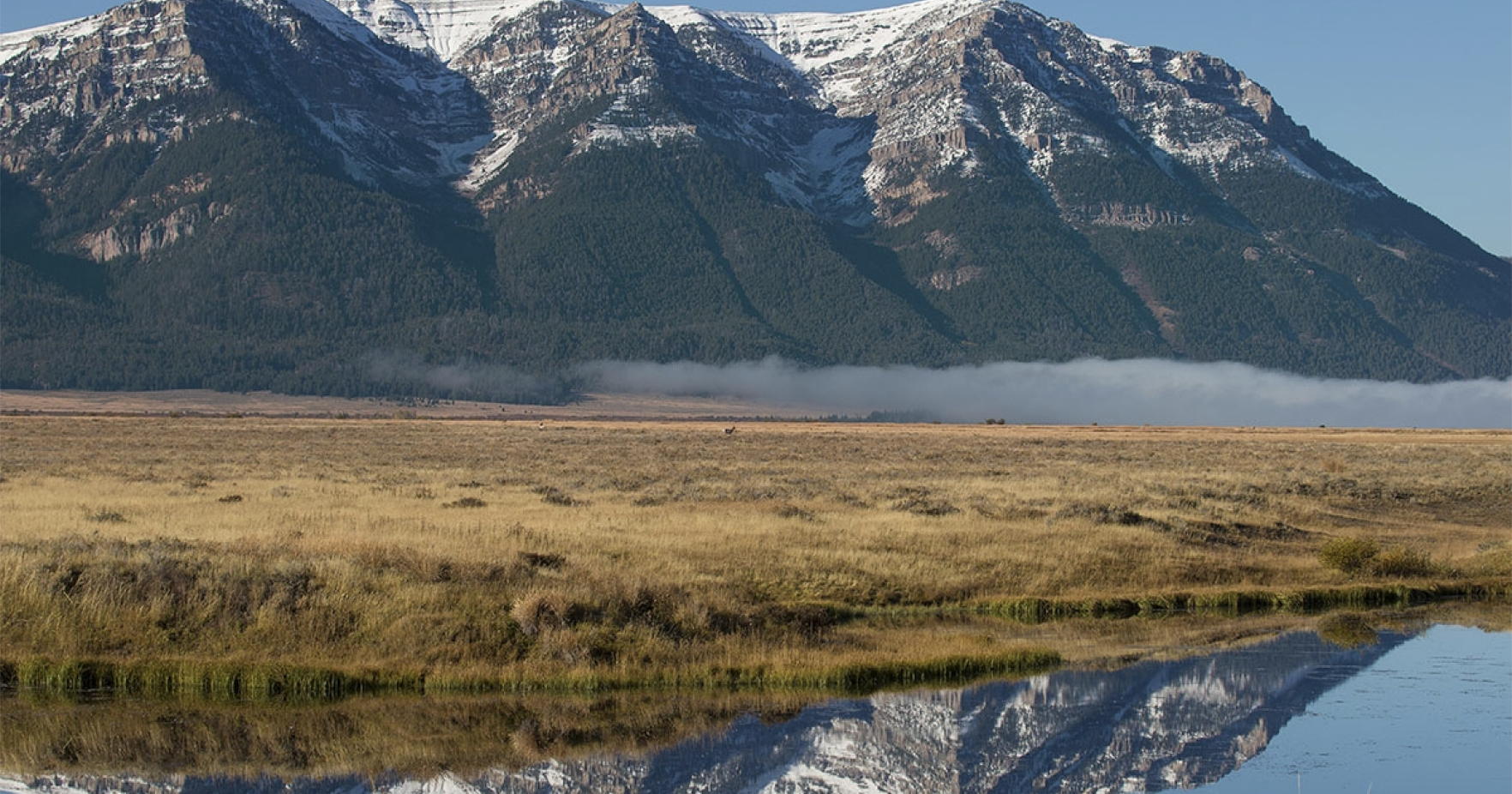 Environmental groups sue over Red Rock refuge grazing permits - Vimarsana News