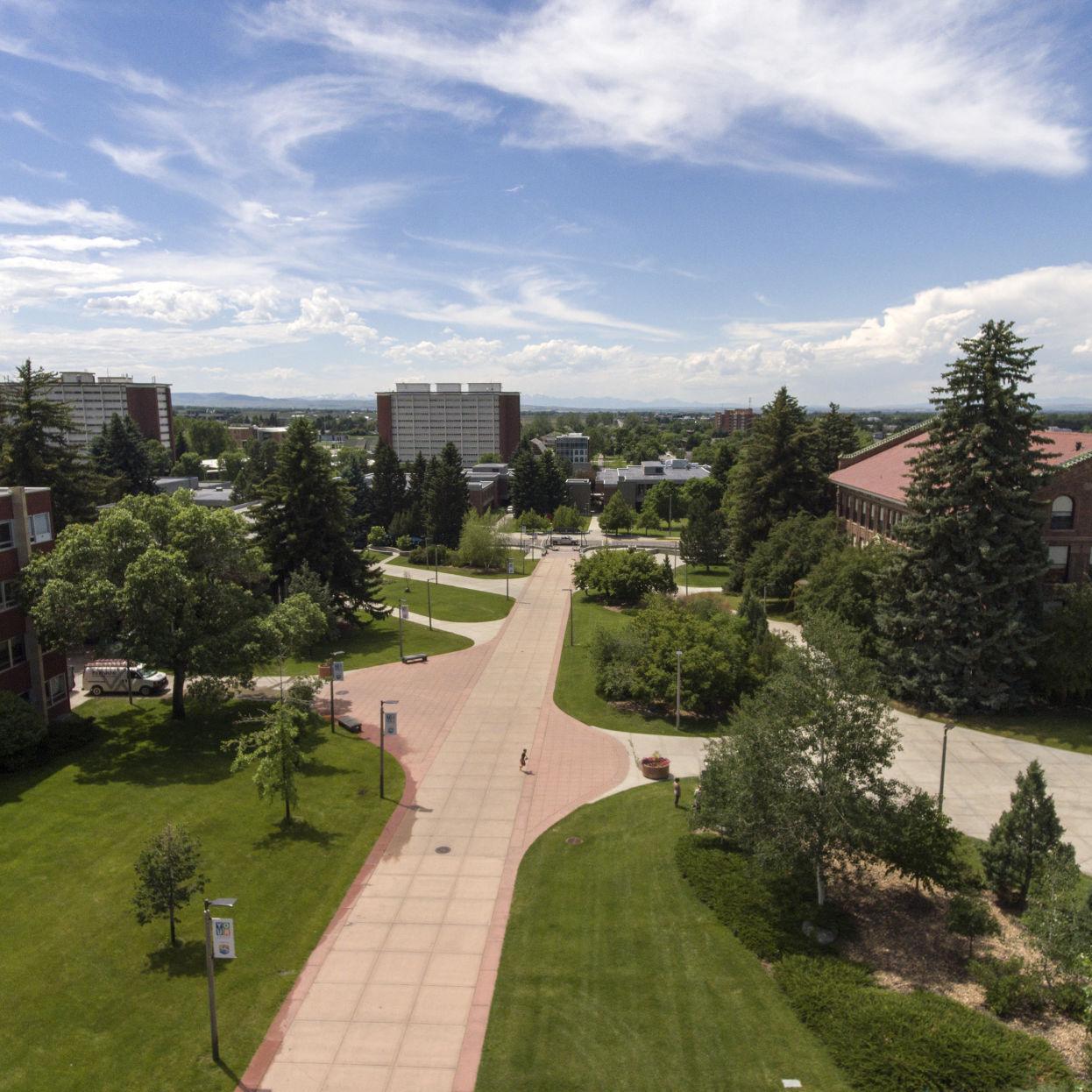 Action MONTANA E Series Driver Action MONTANA E Series Driver