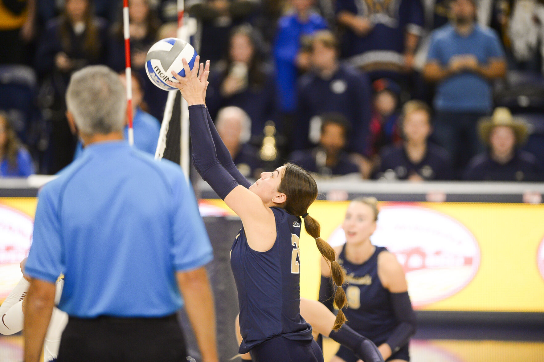 Montana State volleyball to continue season at National Invitational