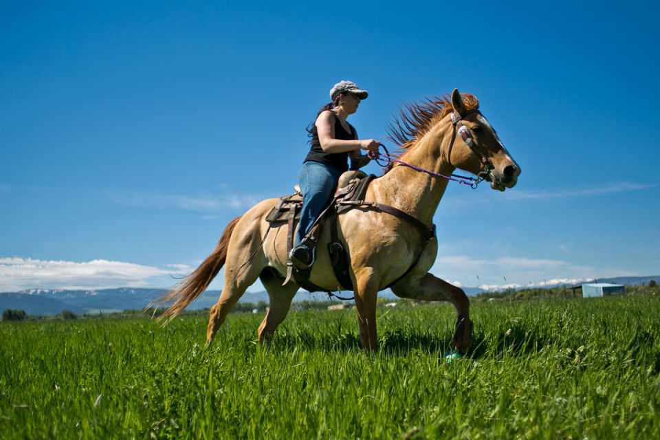 Horseback Riding on Green Field | News | bozemandailychronicle.com