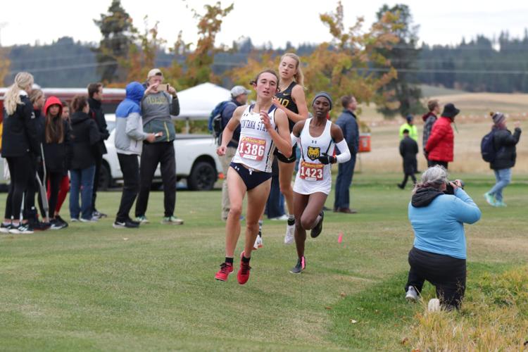 Montana State cross country earns four allconference runners at Big