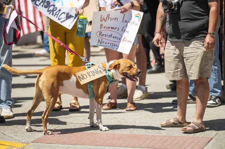 #39 No Kings #39 : 3 000 rally in downtown Bozeman to protest USA #39 s direction