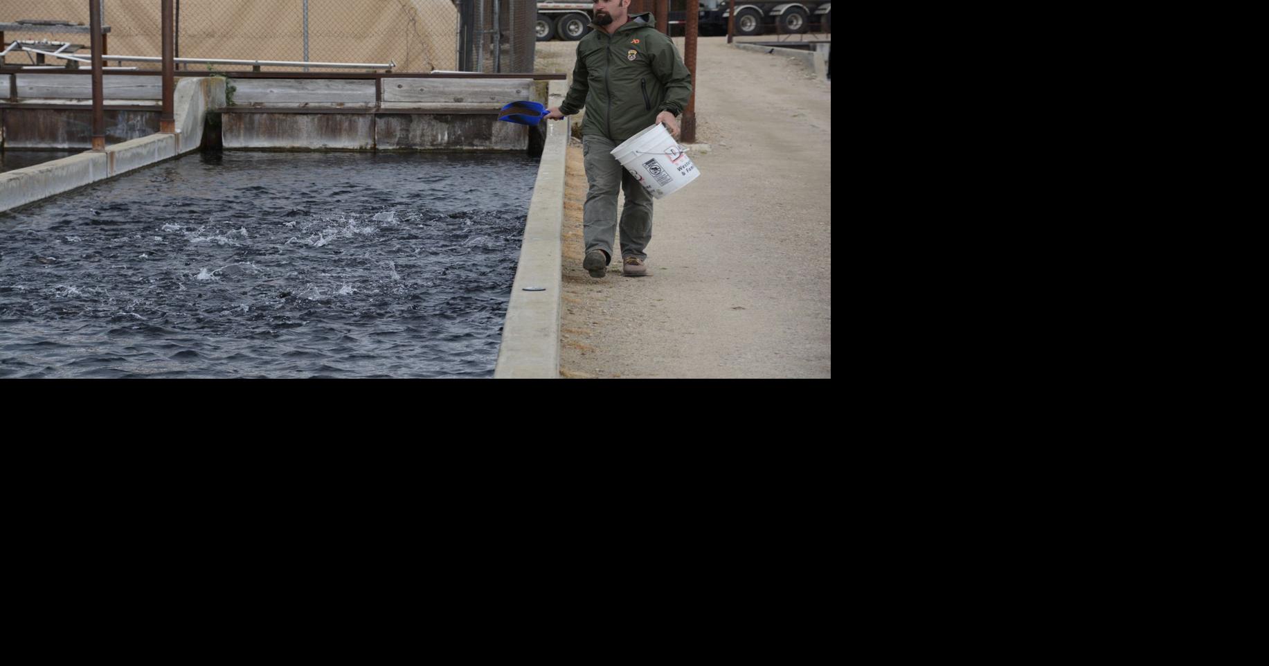 Nampa Fish Hatchery is bringing anglers hundreds of thousands of trout