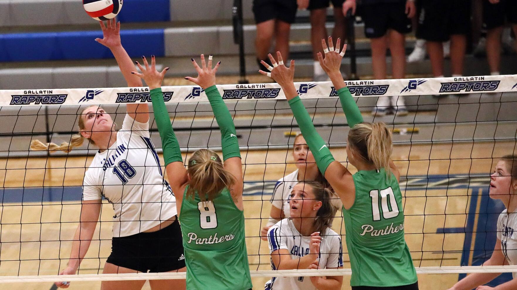 Gallatin leans on healthy roster to increase win streak to four with ...