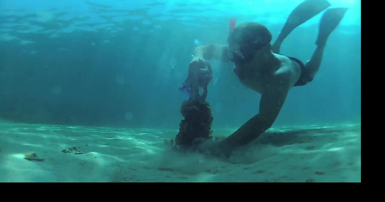 Octopus Catch