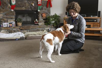 Bozeman Vet Hopes To Improve Final Moments Through In Home Pet Hospice Euthanasia Business Bozemandailychronicle Com