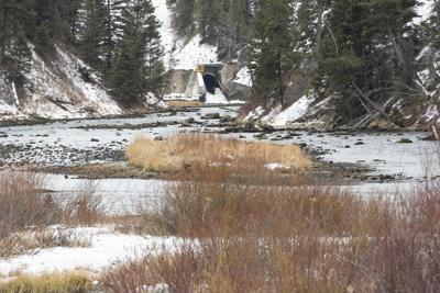 Hebgen dam trout Madison River
