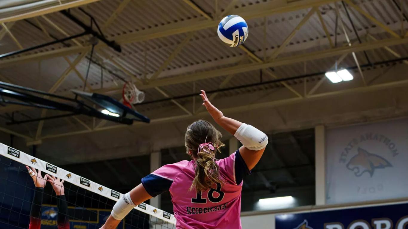 Msu Coasters Montana State volleyball downs Thunderbirds for fifth conference win