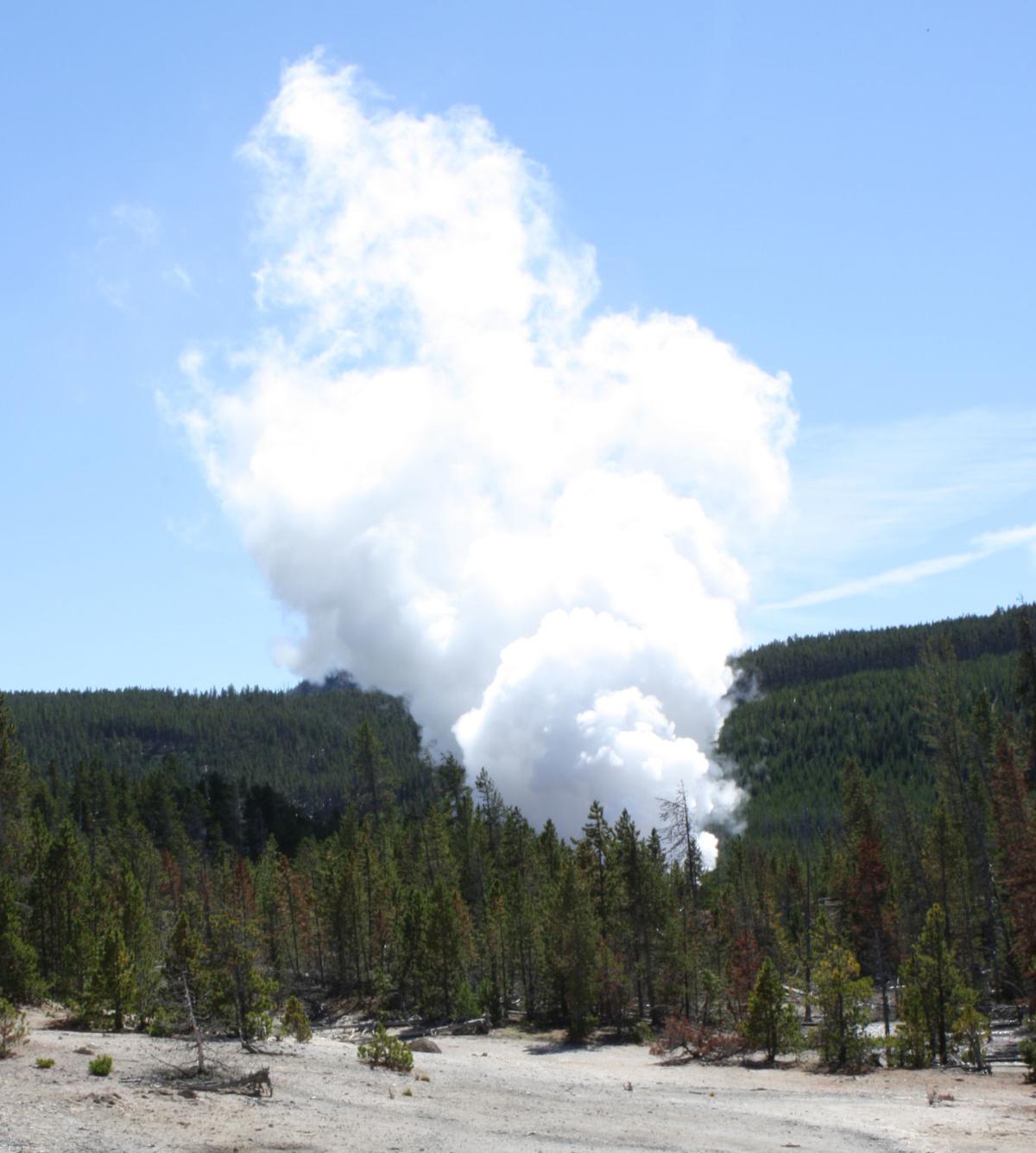 Yellowstone's Steamboat Geyser erupts for record 30th time this year