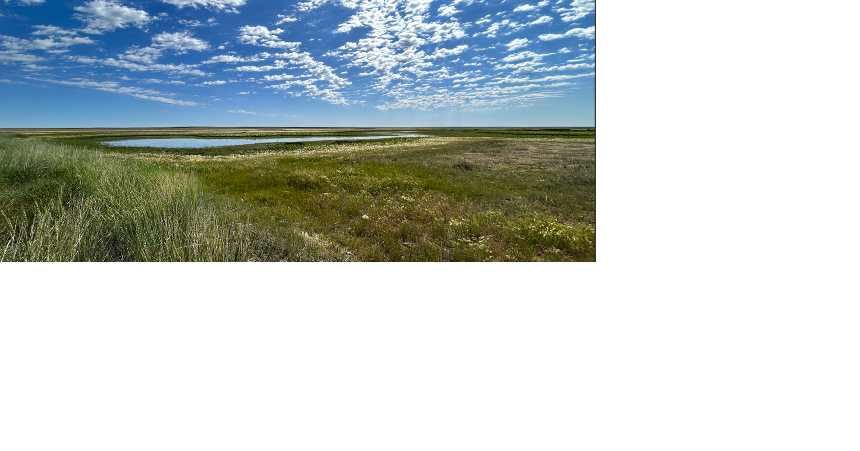 American Prairie celebrates wetlands acquisition in north-central Montana