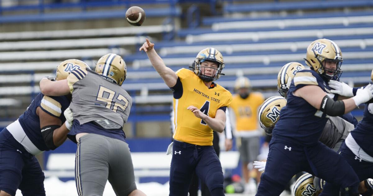 Montana State football releases postspring depth chart Bobcats