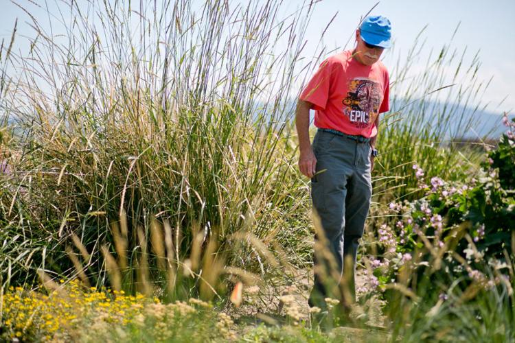 Greater yellowstone coordinating committee releases free xeriscaping